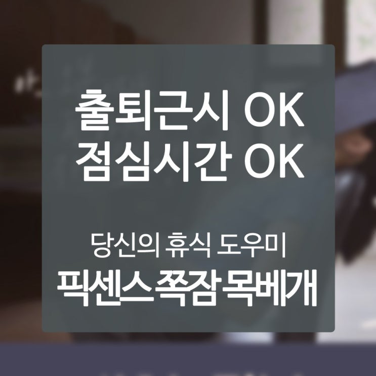  엘리펀트이어스목쿠션 생각하지도 못한 창의력