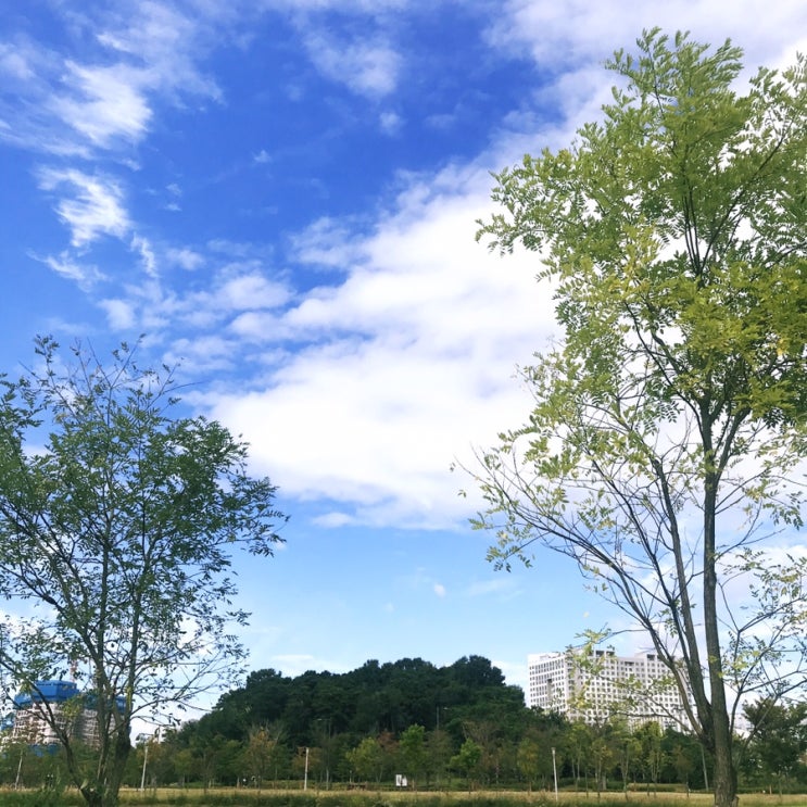  2019년 10월 첫째주 이야기