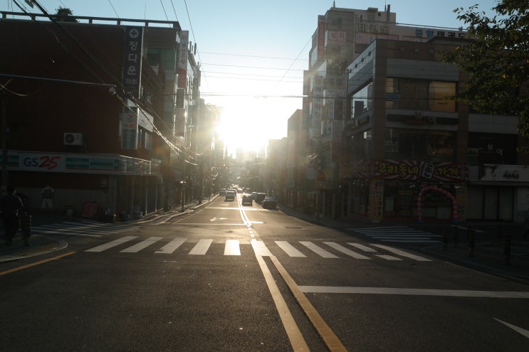  새벽에 바라보는 길.멋지게 하루 시작