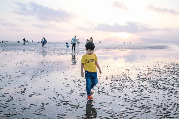  부산 다대포해수욕장  2019 바다미술제 즐기는 팁 공유