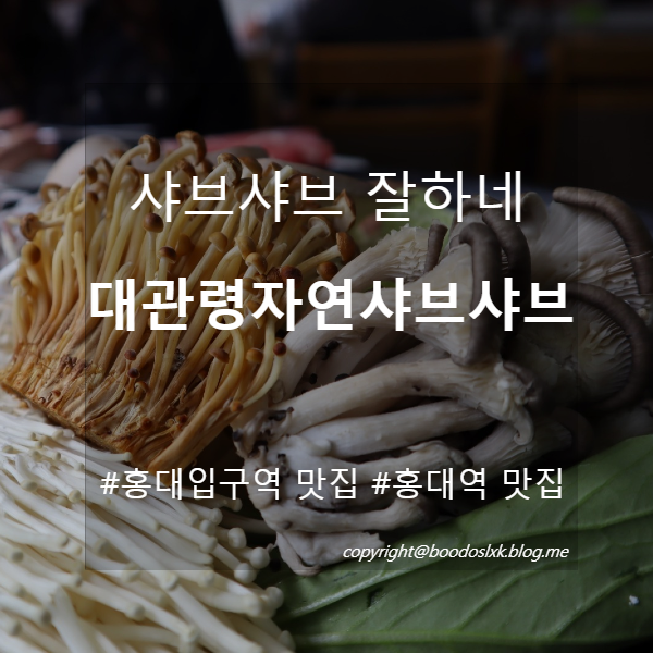 홍대 샤브샤브, 홍대입구역 맛집 :: 대관령자연샤브샤브 (이집 잘해.)