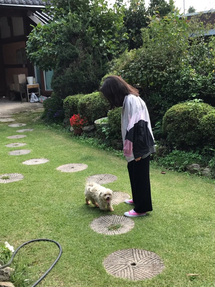  흐린 구름 속을 걸어다니고 있어요