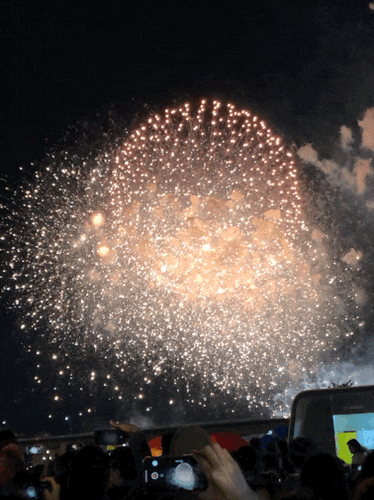  2019 여의도 불꽃축제 후기 :: 꿀팁 & 관람포인트 & 명당자리 (+불꽃동영상/한화세계불꽃축제)