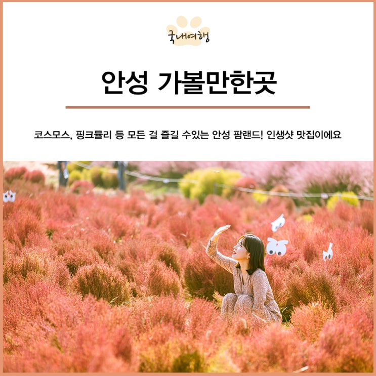  안성 가볼만한곳 안성 팜랜드 코스모스, 핑크뮬리 인생샷 맛집 바로지금!