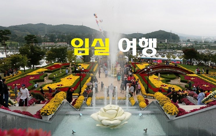  임실치즈축제 옥정호 대전중앙시장 - 임실 여행 