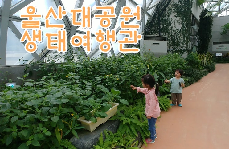  울산대공원 생태여행관, 자연관찰책에서 나온 곤충과 파충류 만나기