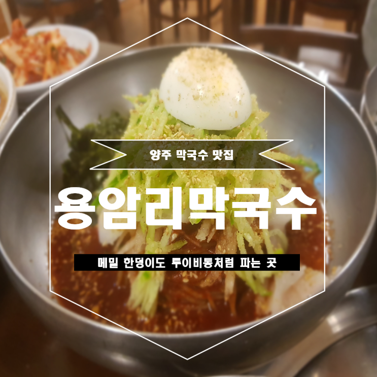 경기도 양주 맛집 한 덩이 메밀도 루이비통처럼 파는 용암리 막국수!
