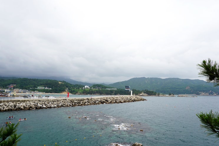  삼척 가볼만한곳 강원도 장호항 스노쿨링, 투명 카누