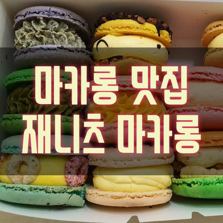  선물하기 좋은 뚱카롱 탄방동 재니츠 마카롱