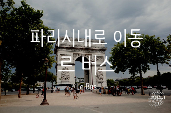  [19. Paris] 파리 샤를드골 공항에서 르 버스 (Le Bus Direct)로 시내로 이동하기/파리지하철 티켓구입법(까르네)
