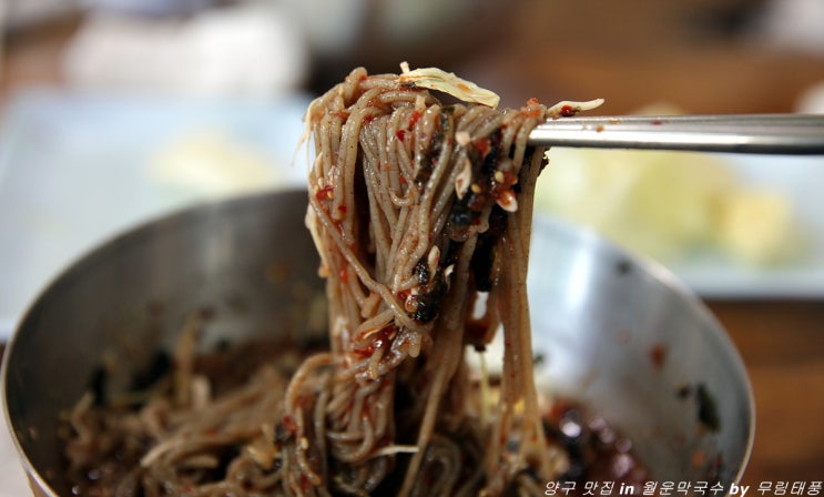  양구 맛집 막국수가 맛난 집