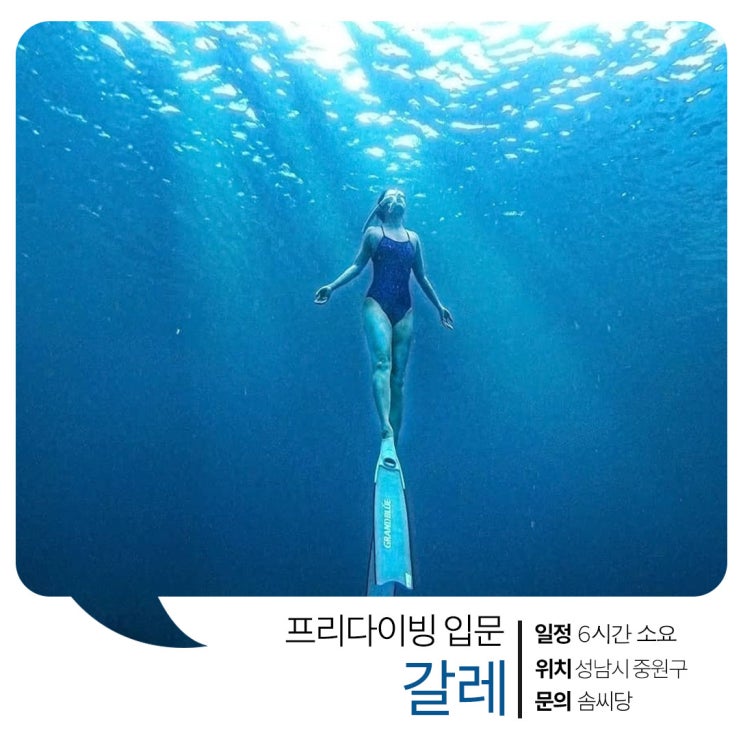 도심에서 배우는 프리다이빙, 원데이클래스로 정복하자 [성남 갈레]