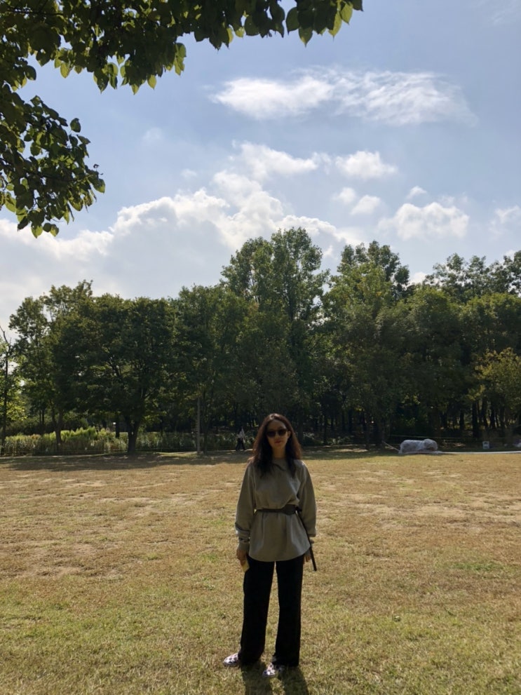  2019.10.4.5.6.7.8