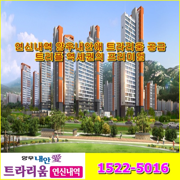  연신내역 양우내안애 트라리움 공급트리플 역세권의 프리미엄