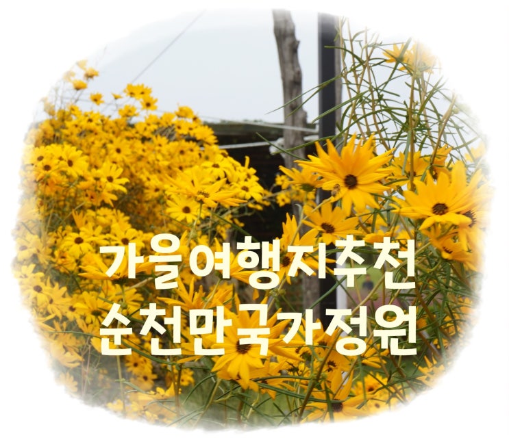  순천여행 / 가을여행지추천 / 순천만국가정원에서 힐링:-)