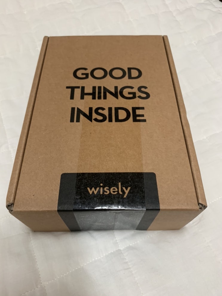  날면도기 '와이즐리(wisely)' 리뷰