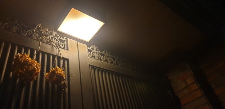  [잡담] 따뜻했고 치열했던 기억: 첫 중량 운동