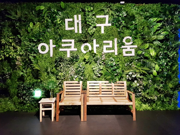  대구 아쿠아리움 :: 신세계백화점 9F 대구 아쿠아리움 방문기