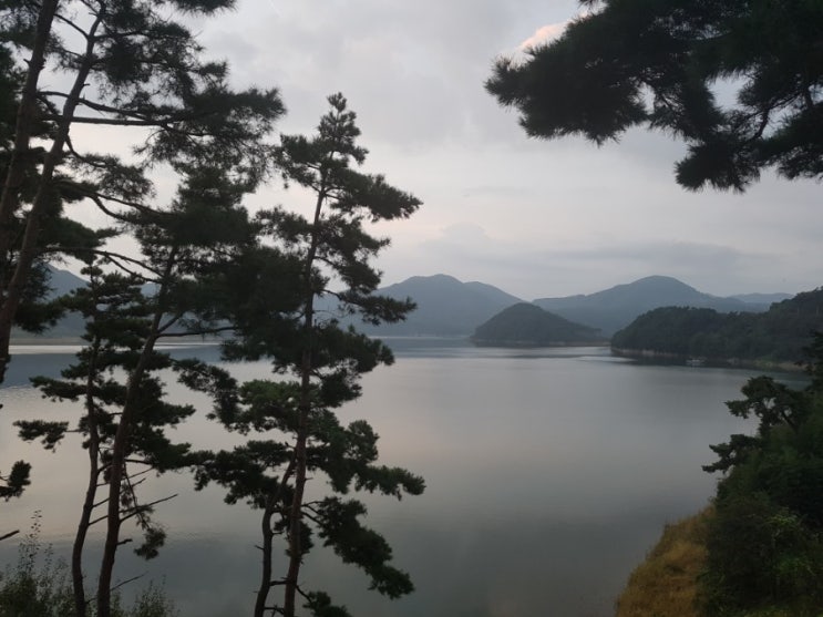  전라북도 임실군 운남면 옥정호의 아침풍경