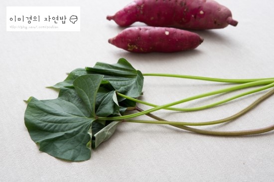  식재료의 달인_고구마순 손질법