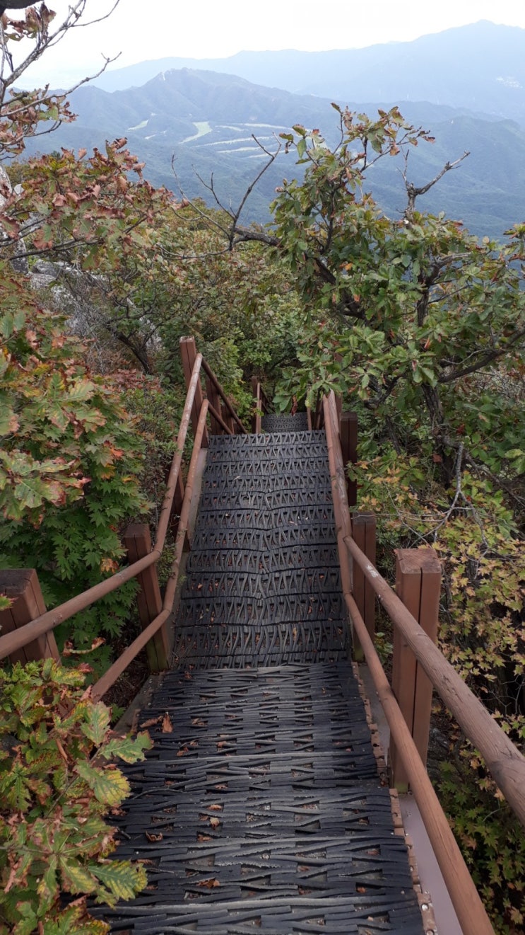  대구 팔공산 산행/서봉-비로봉-동봉-수태골