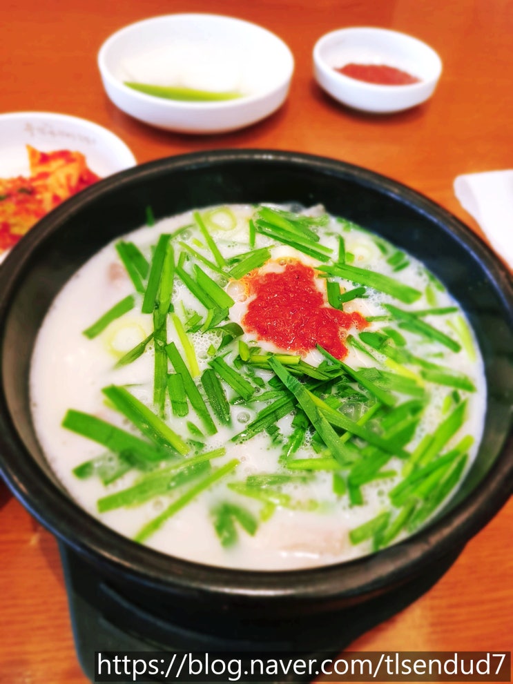  대치동 돼지국밥맛집 부산아지매국밥 부산에서 서울까지 왜?
