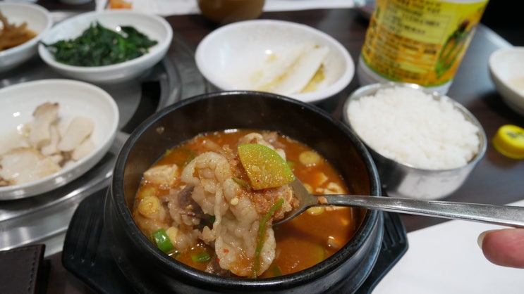  정선맛집-정선농협에서 운영하는 품격있는 한우타운에서 먹은 한우차돌된장찌개