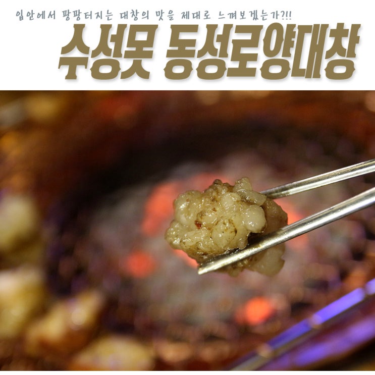  대구 곱창 맛집 수성못 술집으로도 좋은 동성로특양대창