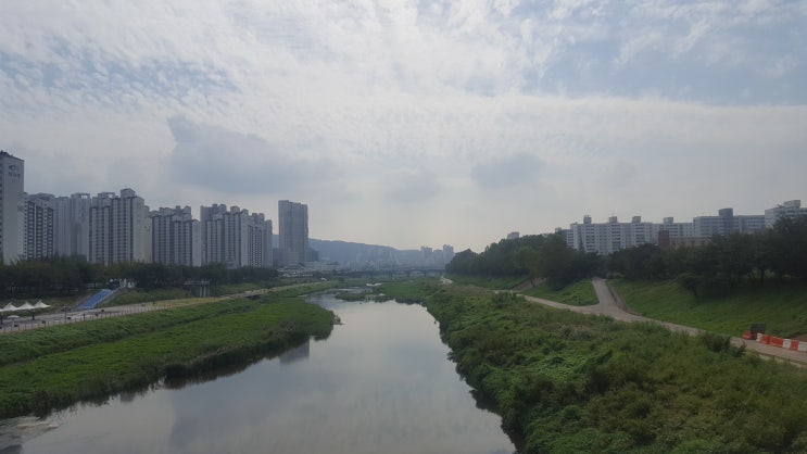  20191006 자취일상