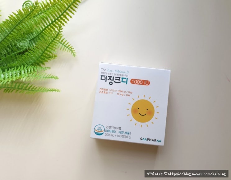  비타민D추천 더징크디 1000IU 로 부족한 비타민D 충전하기