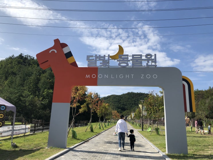  아이와 영월여행, 펫힐링달빛동물원, 영월맛집 문화식당