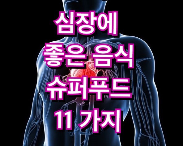  심장에 좋은 음식 마비 순환 통증 슈퍼푸드 11가지 필수정보