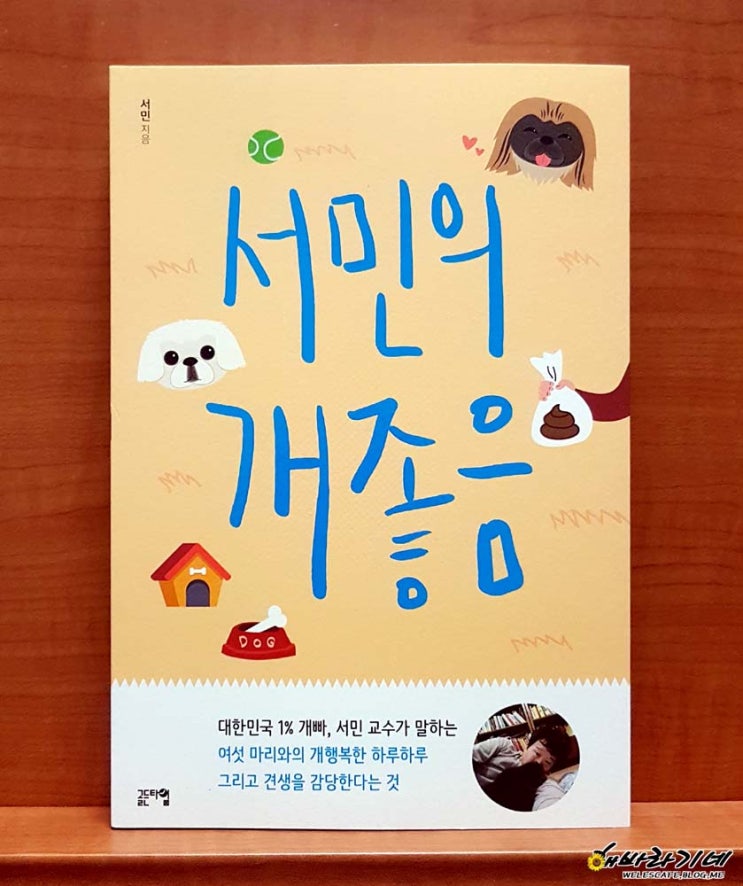 서민의 개좋음
