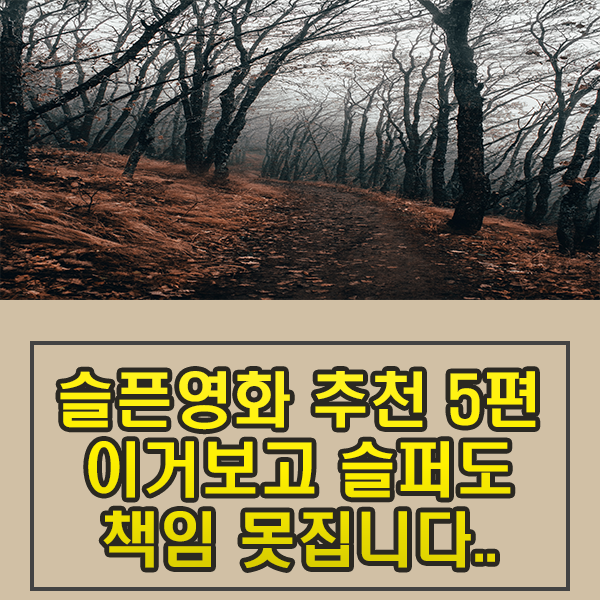  슬픈 영화 추천 5편 이거 보고 너무 슬퍼도 책임 못 집니다..