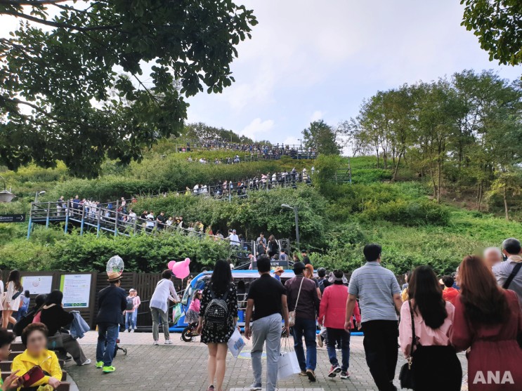 10월 서울데이트코스) 서울 하늘공원 억새축제 전, 핑크뮬리 구경