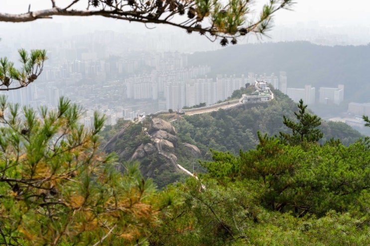  [서울 걷기 좋은 길, 서울 데이트 추천,]인왕산 자락길 걷기 모임