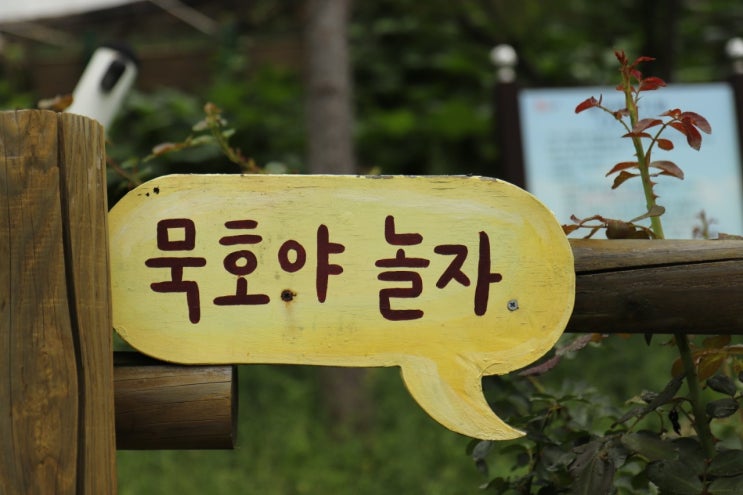  #여행256] 3박4일 강원도여행_ 4일차(호텔탑스텐조식/동해추암촛대바위/논골담길/묵호등대)