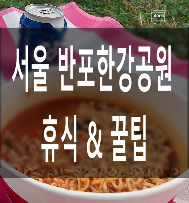  반포한강공원 치킨부터 돗자리, 가는 법 준비하기