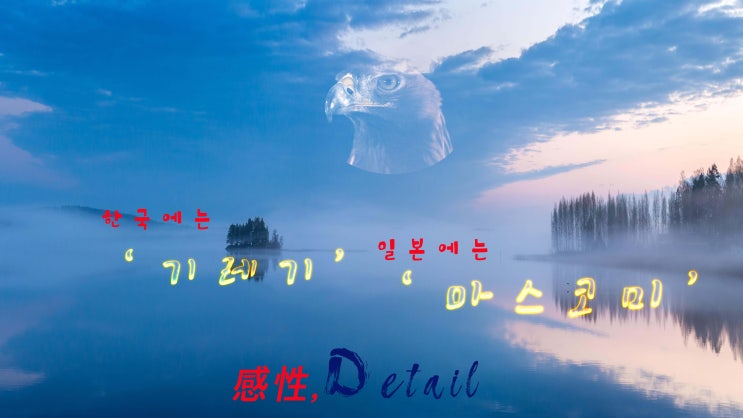  한국에는 '기레기' 일본에는 '마스코미'