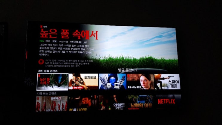  넥플릭스추천영화-높은 풀 숲에서(In the tall grass)/두끼떡볶이