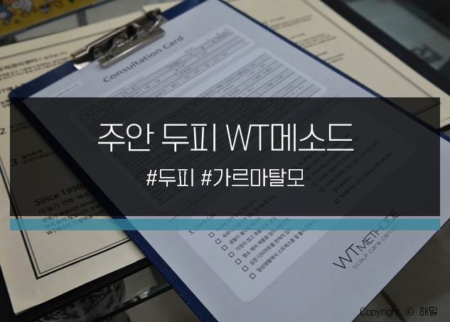  요즘 가르마탈모가 심해졌어요....주안역 두피탈모관리! WT메소드