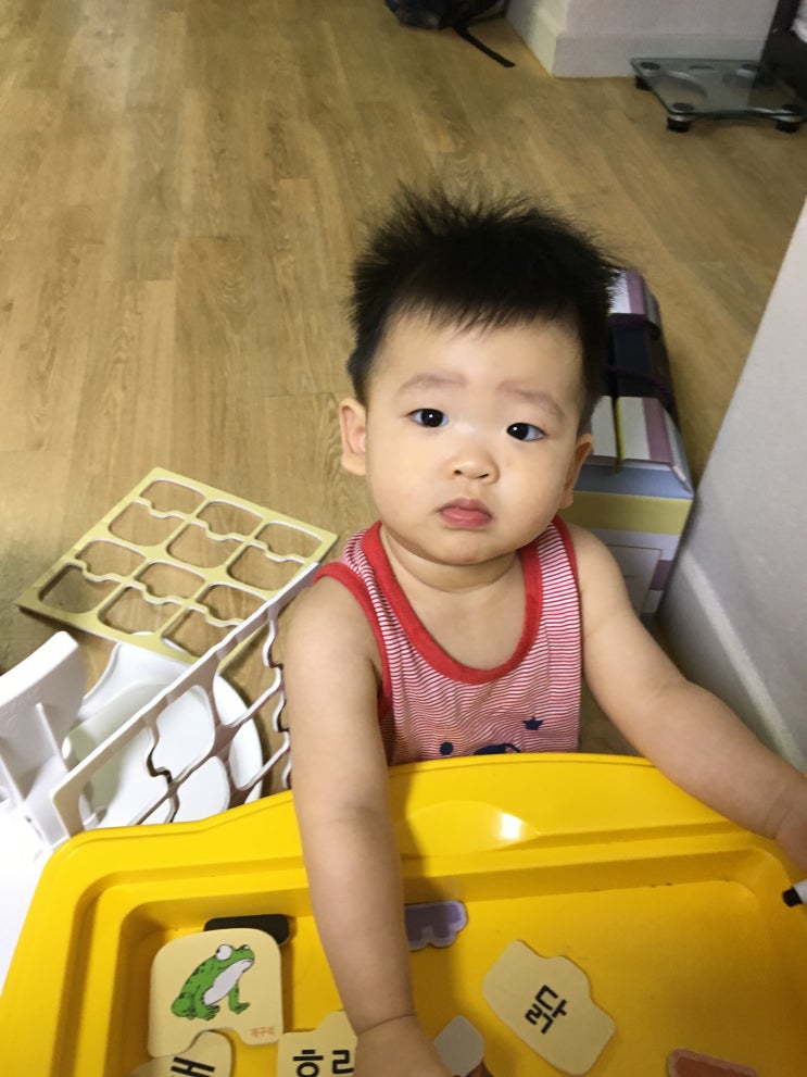  생후 376일