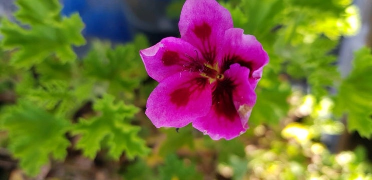  재개발· 재건축 조합원 지분의 취득 시점별 세금 알아보기