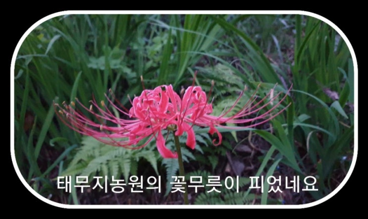  (공지)농산물꾸러미 배송지연 안내