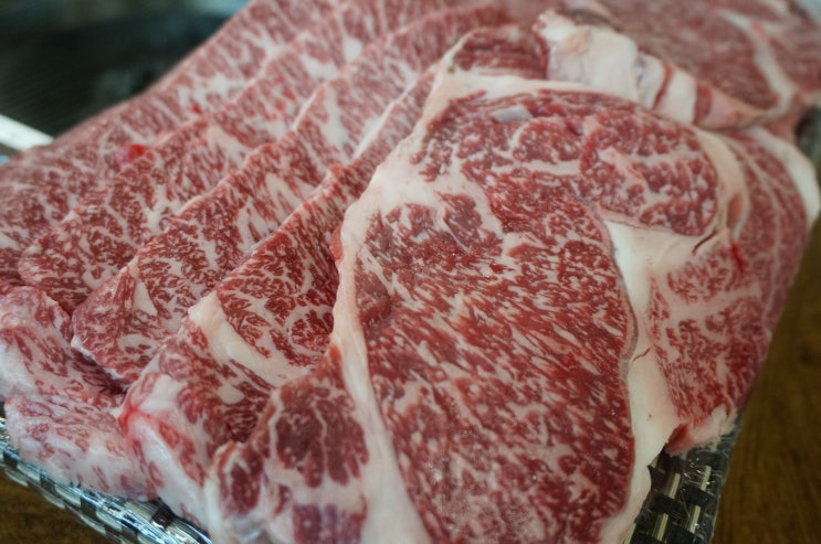  마장동 축산시장 1등? 소고기 가격 [우진유통] 인생맛집!