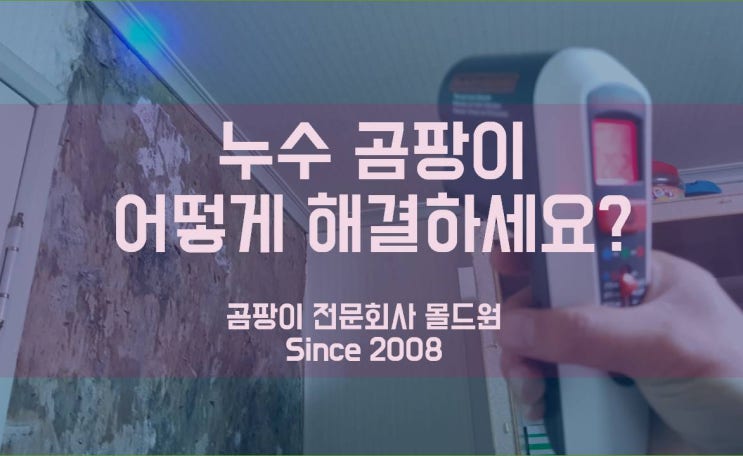  아파트 누수 곰팡이 제거 깔끔하게 진행해야죠