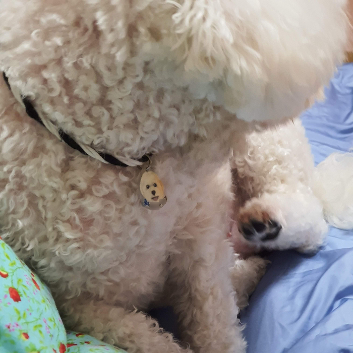  10월 첫째 주 아무 일상추억의 음악여행 떠나기, "제발 종강을 주세요"