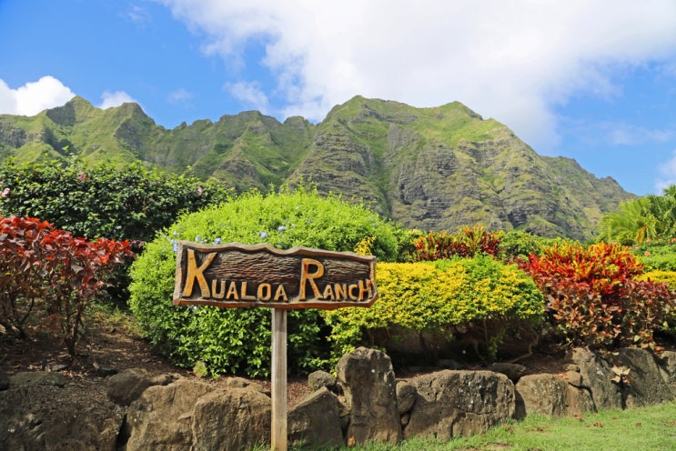 하와이 여행준비물-쿠알로아 랜치 한달 전 미리 예약하는 이유