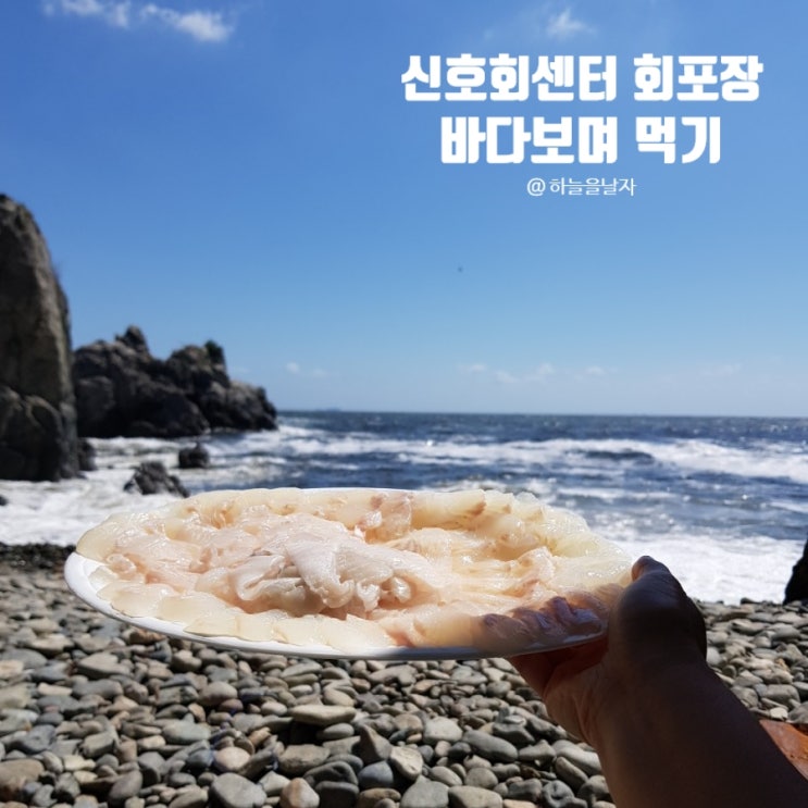  신호회센터 회포장, 가덕도 바다보며 고기구워 같이 먹기