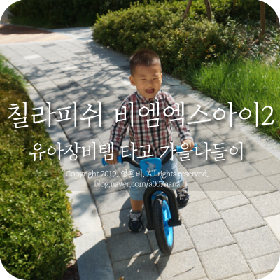 유아장비템 칠라피쉬 비엠엑스아이 타고 가을나들이 갈래요.